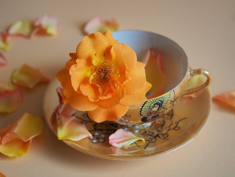 Floral Cupcake